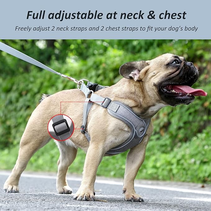 Dog Harness with Leash Set, No Pull Reflective Strips Adjustable Step in Dog Collars Harness with Breathable Padded Vest Harness for Small Large Dogs Training and Running (S, Gray)