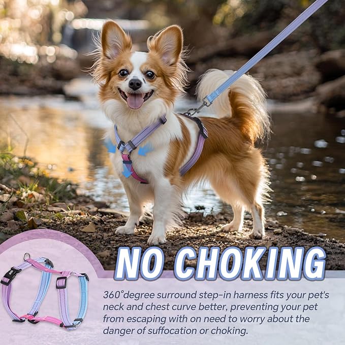 Dog Harness Leash Set, No Pull Adjustable Halter Cute Comfort Padded Handle for Medium Sized Large Small Dogs Walking Training Running with Reflective（Large,Red Blue）