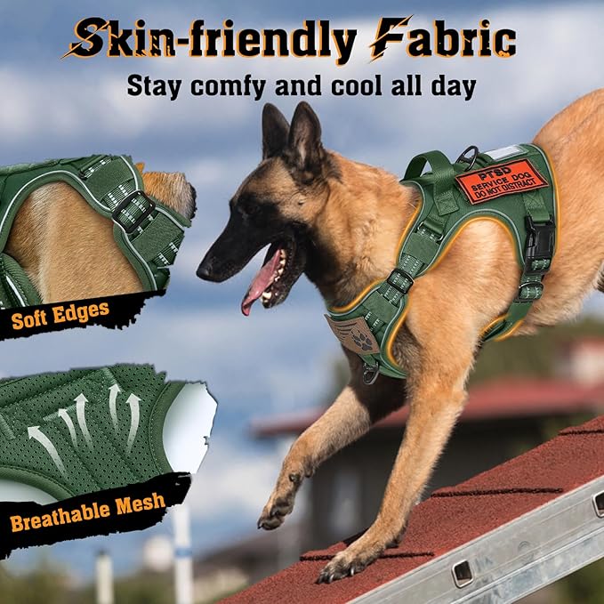 rabbitgoo Dog Harness Medium Sized No Pull, Tactical Service Dog Vest with Molle and Control Handle, Adjustable and Reflective Military Pet Harness for Easy Walking and Training, Green, M