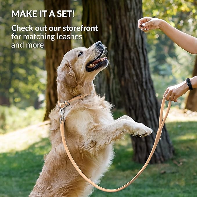 CollarDirect Rolled Leather Dog Collar, Soft Padded Round Puppy Collar, Handmade Genuine Leather Collar Dog Small Large Cat Collars 13 Colors (7-9 Inch, Beige Smooth)