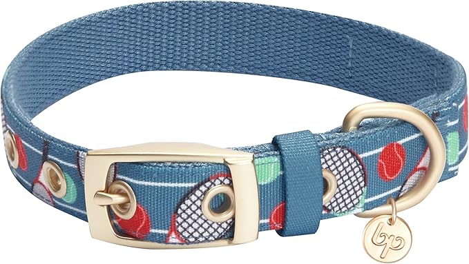 Blueberry Pet 5 Patterns Sports Fan Tennis Canvas Adjustable Dog Collar with Metal Buckle - Teal Blue, Neck 17-20.5", for Large Breed