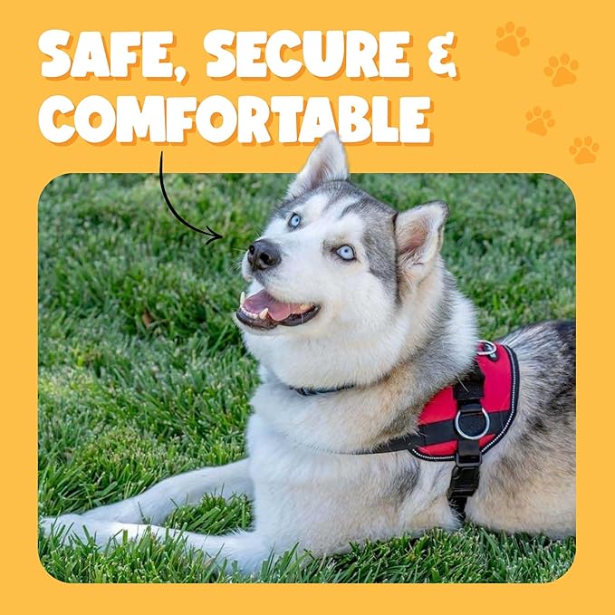 Bark Appeal Red No-Pull Dog Harness for Small to Medium Sized Pets – Adjustable, Reflective Vest with 3 Leash Clips for Added Control, Easy Walks & Training – Medium