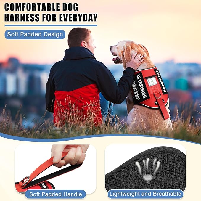 Service Dog Vest Harness+ID Tag+10 Patches,Metal Serivce Dog Tag&Reflective Emotional Support Dog Vest with Handle for Medium Dogs,Easy Put On/Off for Training/Walking/Everyday Red M
