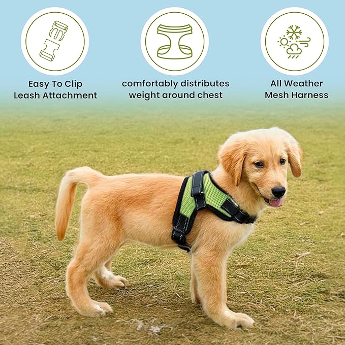 No Pull Reflective Adjustable Dog Harness With Handle- Comfortable Soft All Weather Mesh, Easy On Puppy Harness For Small Medium and Large Dogs (Green) Small
