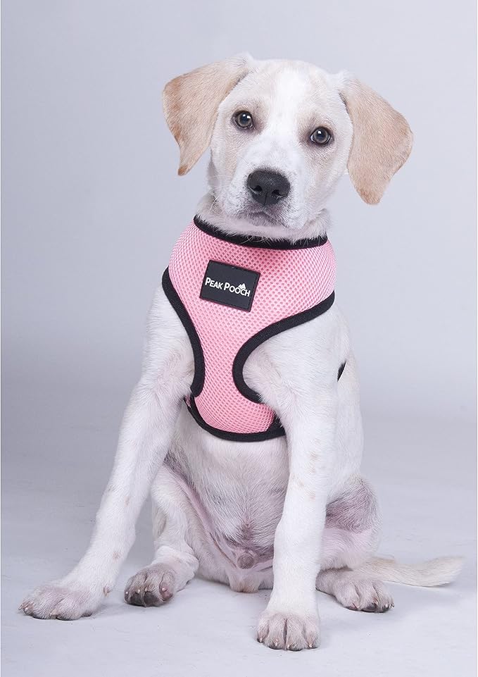 Downtown Pet Supply - Dog Harness for Small Dogs No-Pull - Step in Dog Harness - Padded Mesh Fabric Dog Vest with Adjustable Belly Belt & Quick-Snap Clip - Pink - 14 in Neck - Large Dog Harness