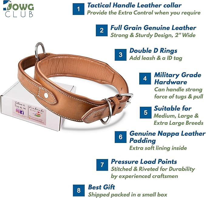Leather Dog Collar with Handle, 2 Inch Wide Saddle Grade Brown Leather Dog Collar for Large Dogs | Heavy Duty, Comfortable, Inner Soft Padded | (L (Fit Neck Size 18.5"-22.5"), Light Brown)