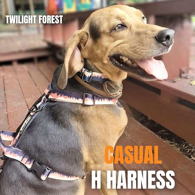 Casual H Dog Harness, No-Pull Pet Harness with 2 Leash Clips, Twilight Forest Gradiant Color, Adjustable Soft Padded Dog Vest for Small Medium Large Dogs (XL)