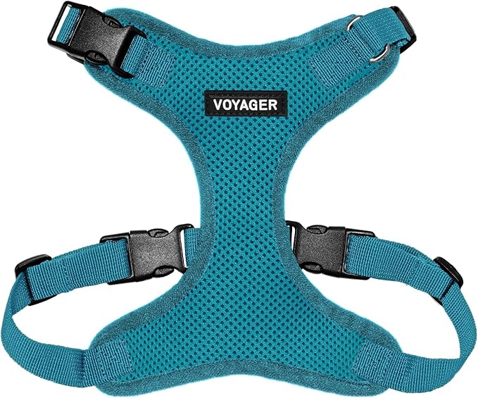 Voyager Step-in Lock Pet Harness - All Weather Mesh, Adjustable Step in Harness for Cats and Dogs by Best Pet Supplies - Turquoise, XL