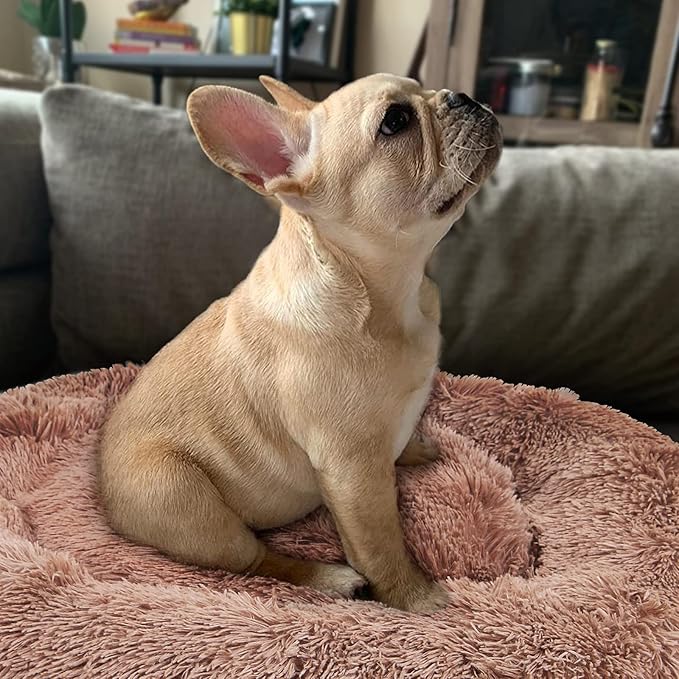 Dog Beds for Medium Dogs Washable Donut French Bulldog Ded Calming Cat Bed for 2 Cats 30 Inches Fluffy Cozy Puppy Bed Washable Anti Anxiety Brown