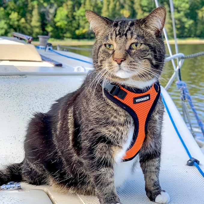 Voyager Step-in Lock Dog Harness w Reflective Dog Leash Combo Set with Neoprene Handle 5ft - Supports Small, Medium and Large Breed Puppies/Cats by Best Pet Supplies - Orange/Black Trim, XS