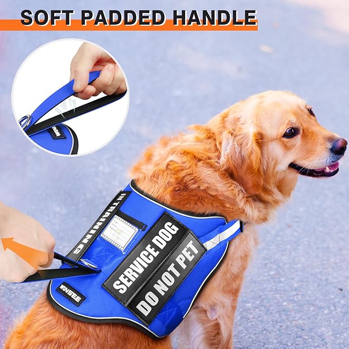 Service Dog Harness and Leash Set, Training Dog Vest with 10 Dog Patches, Emotional Support Therapy Dog Vest Harness for Small Medium Large and Extra Large Dogs(Blue, M)