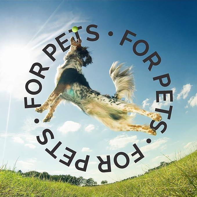 Bark2Basics Crystal Clear Dog Shampoo, 1 Gallon | All Natural Ingredients, Gentle Clean, Fragrance and Color Free | Crafted with a Unique Herbal Blend