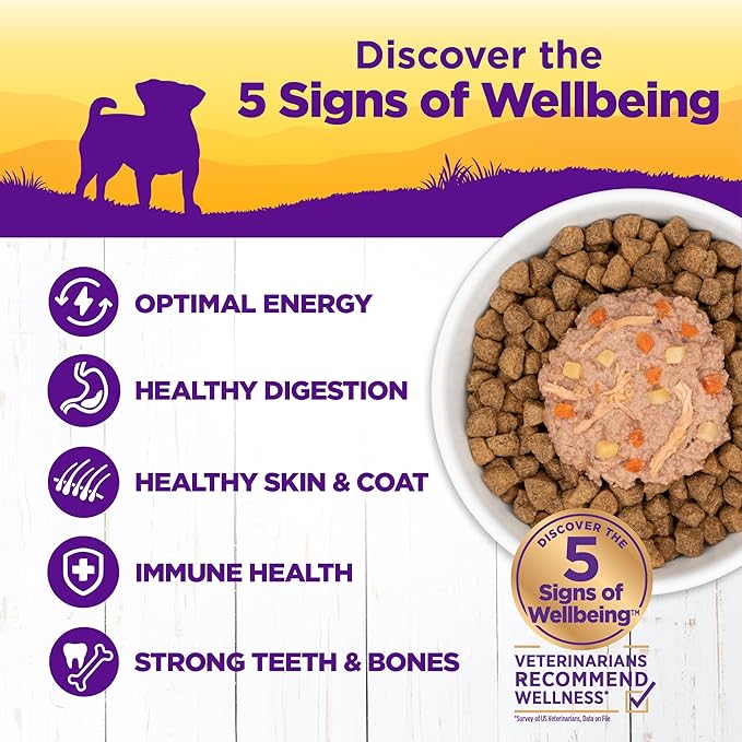 Wellness Petite Entrées Shredded Medley With Braised Lamb, Venison, White Sweet Potatoes & Carrots, 3 Ounce (Pack of 12)