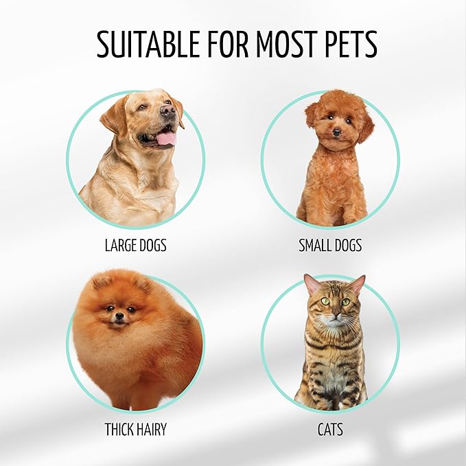 TAURO PRO LINE - Slicker Brush Rectangular S | Premium brush for dogs & cats with soft, flexible cushion ergonomic design. | Included: 1x grooming brush in Mint, Dimensions: Rectangular, 2,7 x 6.2in