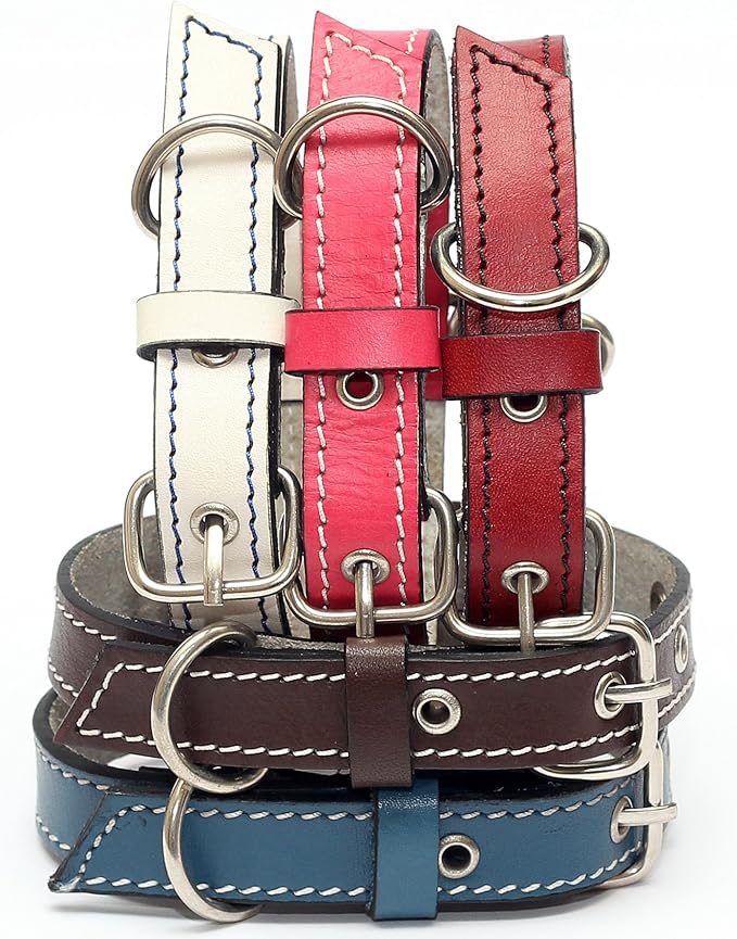 Premium Leather Collars with Stainless Steel Buckles (9"-12", Blue)