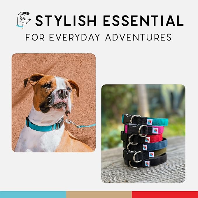 Dog Collar, Lightweight, Heavy Duty Dog Collar with Buckle, Fabric Pet Collar, Breathable & Adjustable Puppy Collar, Dog Collars for Small Dogs (Turquoise, Small - 8-12 Inch) - Wildebeest