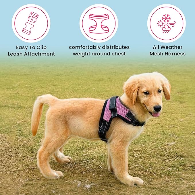 No Pull Reflective Adjustable Dog Harness With Handle- Comfortable Soft All Weather Mesh, Easy On Puppy Harness For Small Medium and Large Dogs (Pink) Large