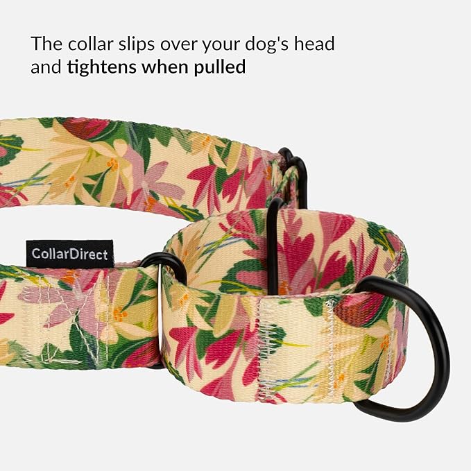 CollarDirect Martingale Collars for Dogs Heavy Duty Floral Pattern Female Safety Nylon Training Wide Collar Flower Design Large Medium (M, Neck Size 12"-17", Toffee)