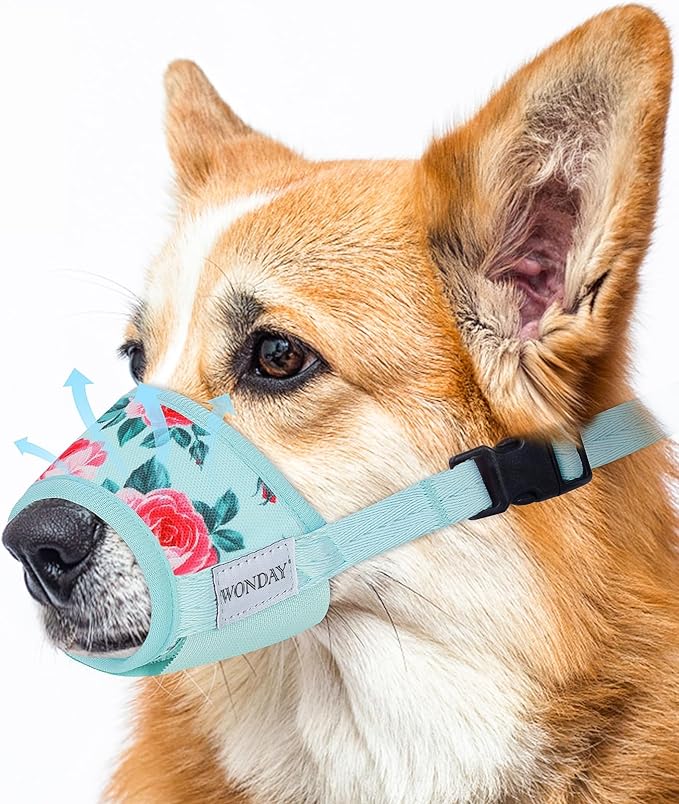 Dog Muzzle for Small Medium Large Dogs, Dog Muzzles for Biting Barking and Chewing Puppy Muzzle Nylon Soft Mesh Breathable Adjustable Loop Muzzle Anti-Dropping (Blue, XL)