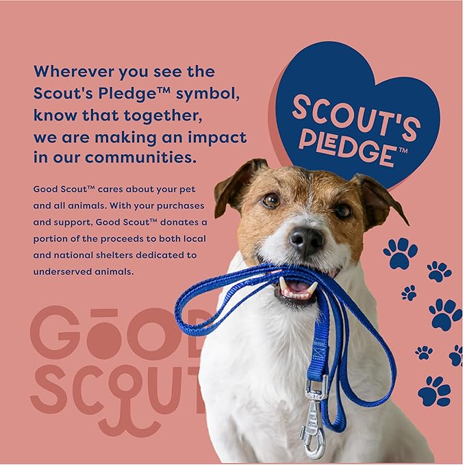 Good Scout 2-Piece Deshedding Tool Set with Comb & Soft Bristle Brush, Best Deshedding Tool for Dogs & Cats, Gentle, Safe & Effective Grooming Tool for Short or Long Haired Animals