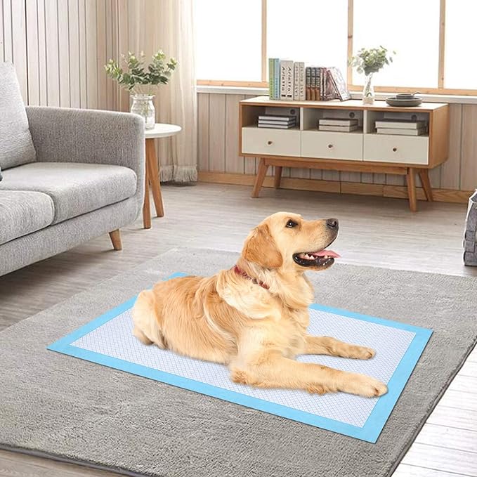 Ownpets 42 inch Collapsible Dog Crate and Dog Pee Pads 40 Counts