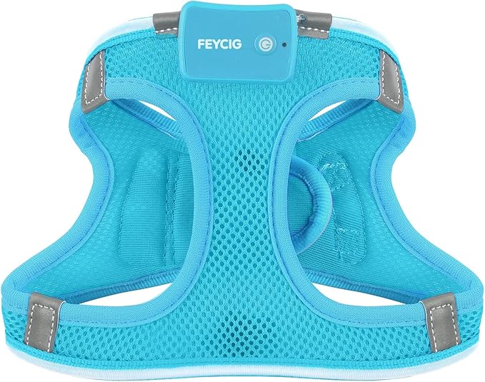 Light Up Dog Harness,LED Dog Harness Rechargeable, Lighted Dog Vest Harness for Night Walking,Reflective Safety Vest for Small Medium Large Dogs,Adjustable Soft Mesh,Blue,M