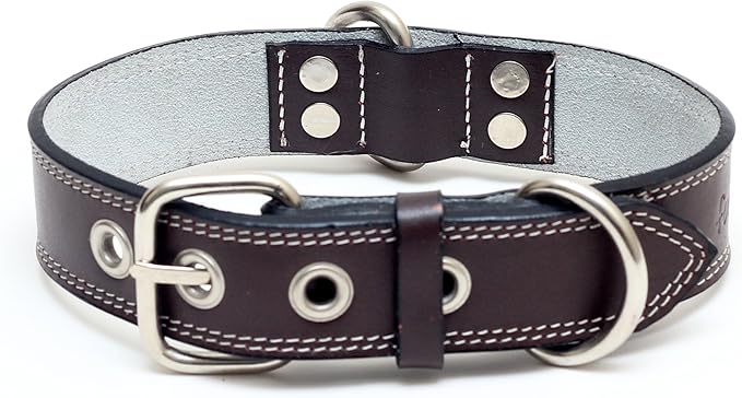 Premium Leather Collars with Stainless Steel Buckles (18"-21", Chocolate)