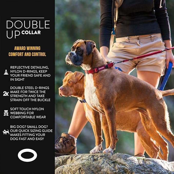 EzyDog Double Up Premium Nylon Dog Collar with Reflective Stitching - Double D-Rings for Superior Strength, Safety, and Comfortability - Non-Rusting and Includes an ID Attachment (Large, Blue)
