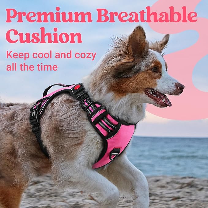 rabbitgoo Dog Harness Small Sized Dog, No Pull Pet Harness with Soft Padded Handle, Adjustable Reflective Vest with 3 Buckles, Easy Walking Harness with 2 Leash Clips, Pink, S