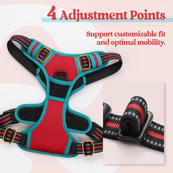 rabbitgoo Dog Harness, No-Pull Pet Harness with 2 Leash Clips, Adjustable Soft Padded Dog Vest, Reflective No-Choke Pet Oxford Vest with Easy Control Handle for Large Dogs, Red & Teal, L