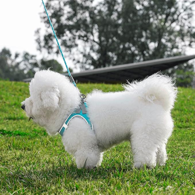 Dog Harness with Leash Set, Adjustable Soft Mesh Padded Reflective Dog Harnesse, Dog Leash with Soft Padded Handle, Puppy Harness and Leash Set for Walking,Training - Blue, L