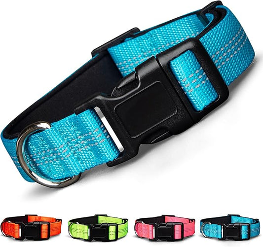 BLAZIN 'Color Me Happy!' Reflective Dog Collar for Day and Night - Adjustable Soft Neoprene Padded Dog Collar in 4 Vibrant Colors - Keeps Dogs Safe and Stylish - for Every Day Use (Small, Blue)