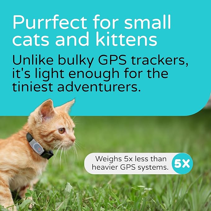 Tabcat V2 Cat & Kitten Tracker - More Accurate Than GPS - No Monthly Fee or Subscription - Includes 4 Homing Tags - Up to 500ft Range - Small & Lightweight Tags Perfect to Find Indoor & Outdoor Cats