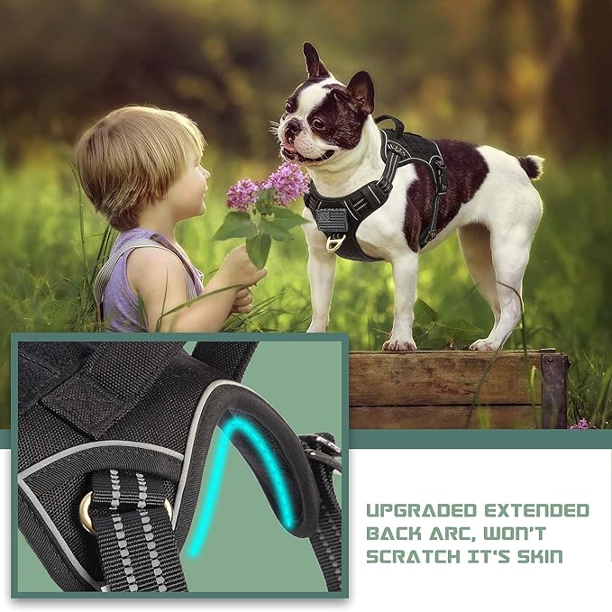 BUMBIN Tactical Dog Harness for Medium Dogs No Pull, Famous TIK Tok No Pull Dog Harness, Fit Smart Reflective Pet Walking Harness for Training, Adjustable Dog Vest Harness with Handle Black M