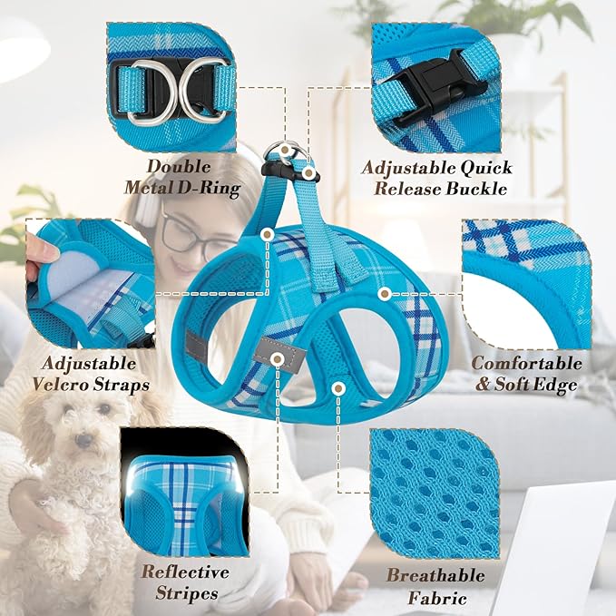 Athena Collection Step-in Dog Harness with 5 ft Leash, Small to Medium Dog Harness Leash Set Medium No Pull Dog Vest Harness with Reflective Strips Adjustable Velcro, Easy Walk Puppy Harness, Blue