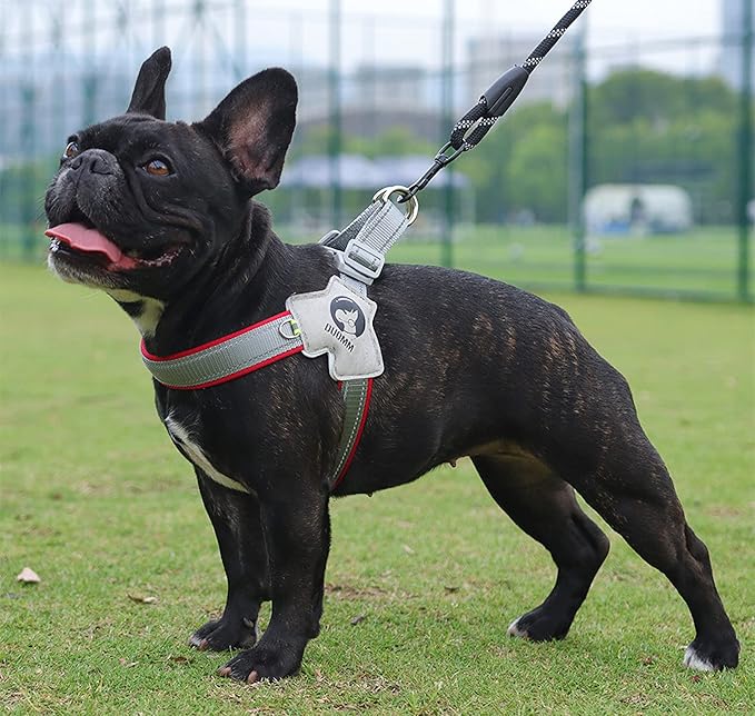 Dog Harness Y-Shaped Harness Breathable Heat Dissipation Easy to Wear Night Reflective Signs for Small and Large Dogs to Wear (Red,S Bust 13in-18in)