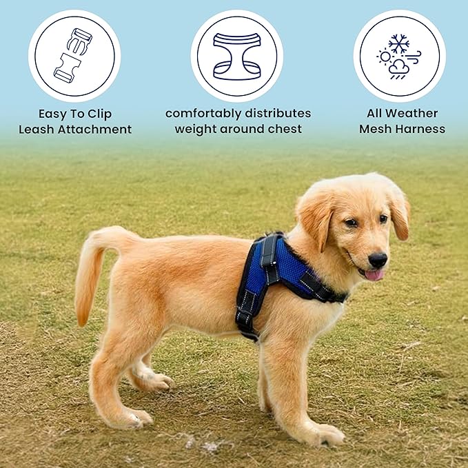No Pull Reflective Adjustable Dog Harness With Handle- Comfortable Soft All Weather Mesh, Easy On Puppy Harness For Small Medium and Large Dogs (Blue) XX-Small