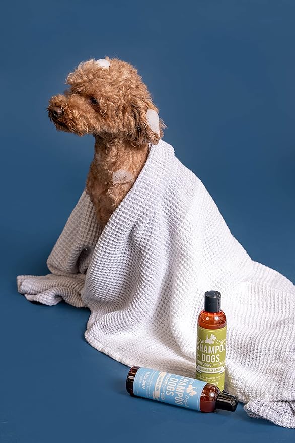 Lemongrass & Mint Dog Shampoo-Natural Refreshing Scent-Anti Itchy After Outdoor Activities