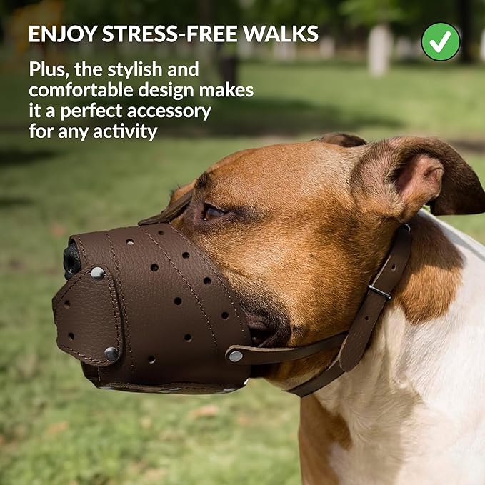 CollarDirect Leather Basket Dog Muzzle for German Shepherd Staffordshire Terrier Pitbull Medium Large Breeds Training, Anti-Barking, Biting, Chewing (Brown)