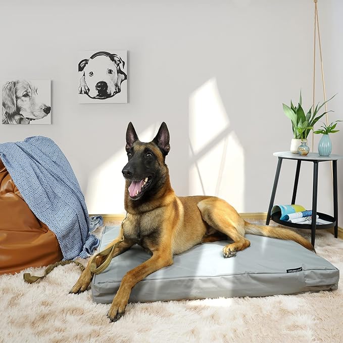 Explore Land Waterproof Dog Bed Cover Canvas Washable Dog Crate Pad Replacement Cover for 42 Inch Crate, 40Lx27Wx4H inch, Gray