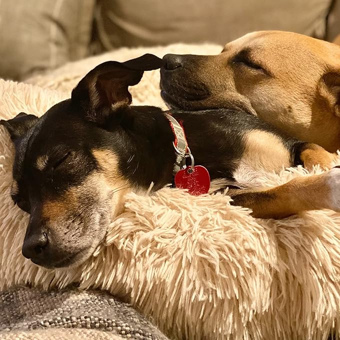 Small Dog Bed Calming Dogs Bed for Small Medium Large Dogs Anti-Anxiety Puppy Bed Machine Washable Warming Cozy Soft Pet Round Bed Fits up to 10-100 lbs (Medium (Pack of 1), Beige)