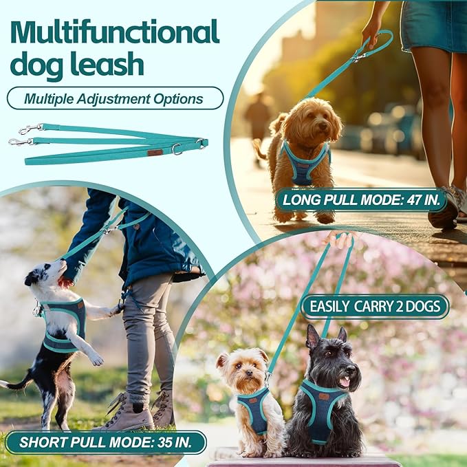 Dog Harness with Multifunction Dog Leash,No Pull Reflective Step-in Harness for Soft Adjustable No Choke Escape Proof,Easy Walk Dog Harness for Medium Dogs (Blue&Green, M)