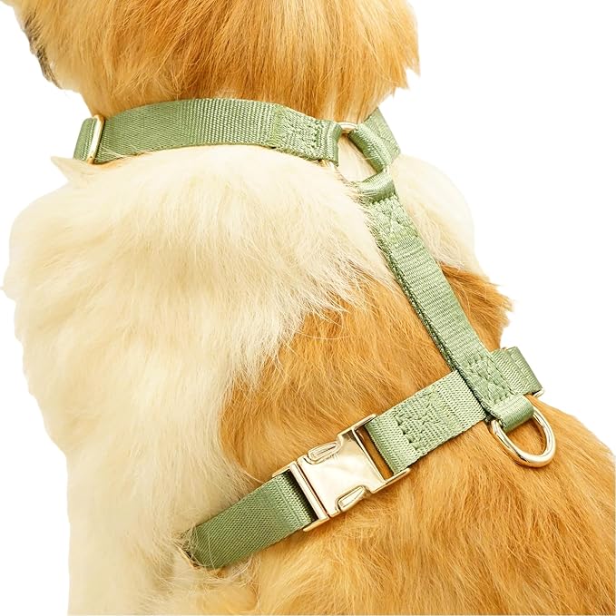 Nylon No Pull Dog Harness with Gold Metal Buckles,Easy Walking and Training Dog Harness (Sage Green, L)