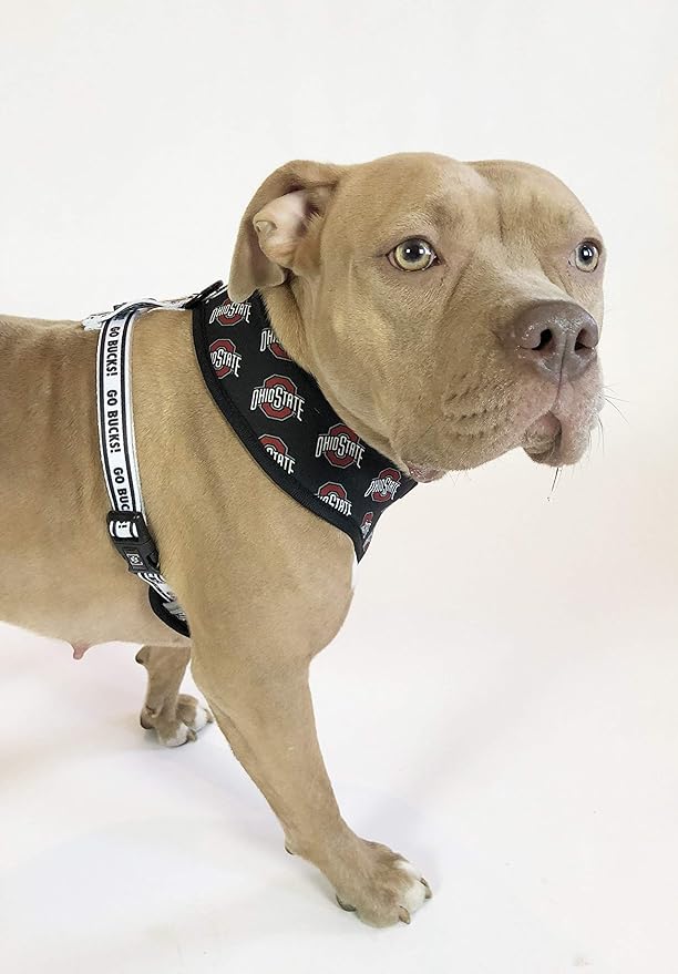 Ohio State | OSU Logo Reversible Pet Harness