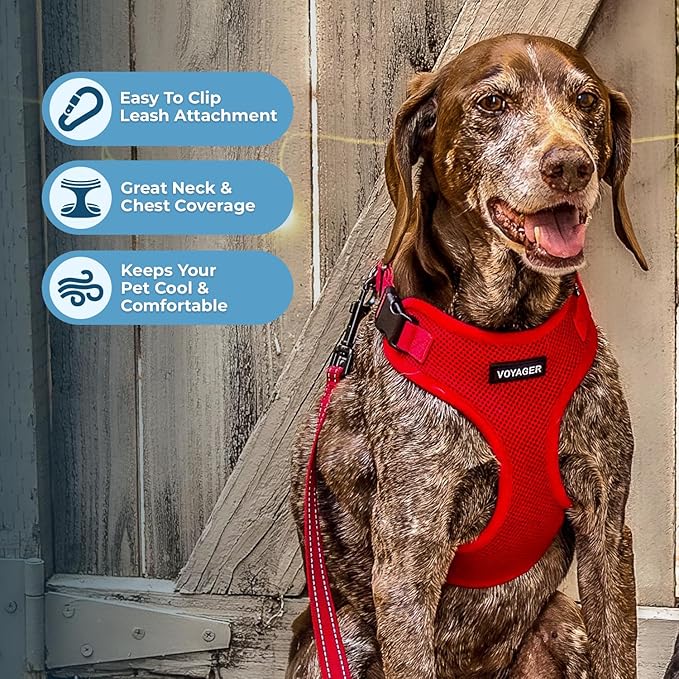 Voyager Step-in Lock Pet Harness - All Weather Mesh, Adjustable Step in Harness for Cats and Dogs by Best Pet Supplies - Red, S