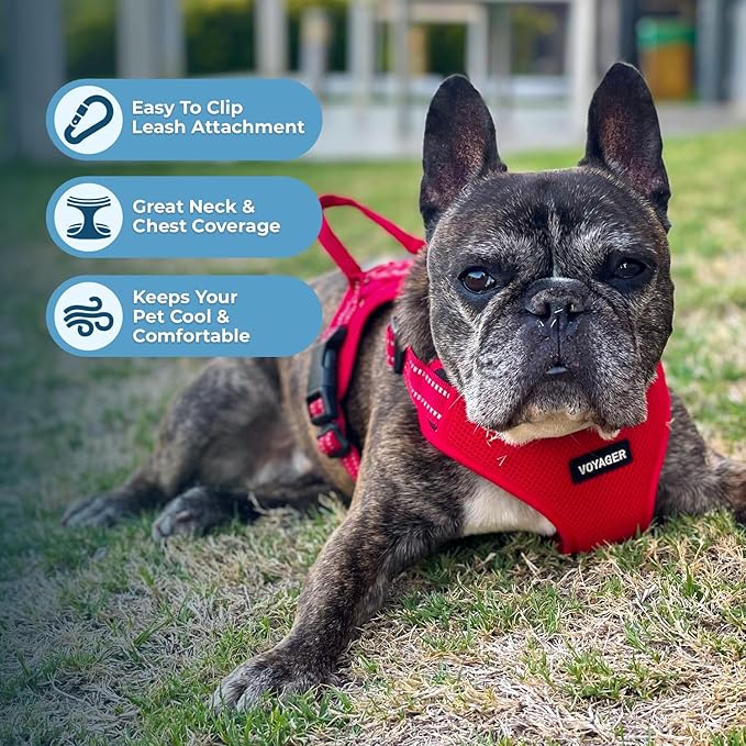 Best Pet Supplies Voyager Adjustable Dog Vest Harness Breathable No Pull Harness for Small, Medium, Large Dogs, Heavy Duty Harness for Walking, Jogging, Easy Step-in, Reflective Stripes - (Red), M