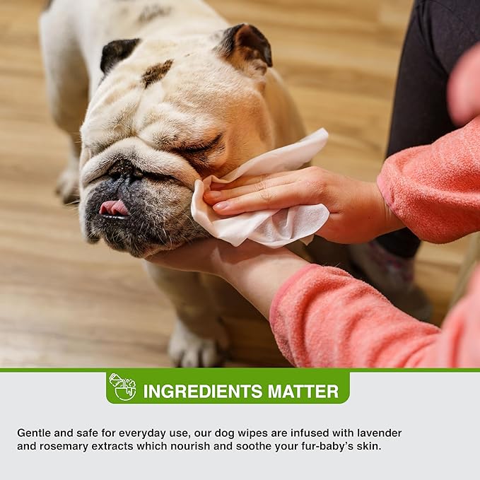 Pure and Natural Pet Grooming and Cleansing Dog Wipes (Lavender and Rosemary) 100 ct