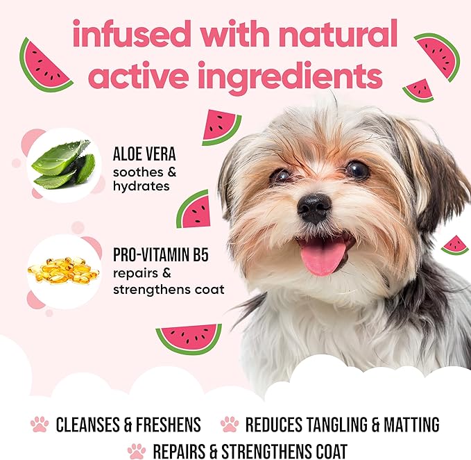 Watermelon Dog Shampoo by Buddycare | Deep Cleansing Shampoo for Dogs | Watermelon Scented | with Aloe Vera and Pro Vitamin B5 (16.90oz)