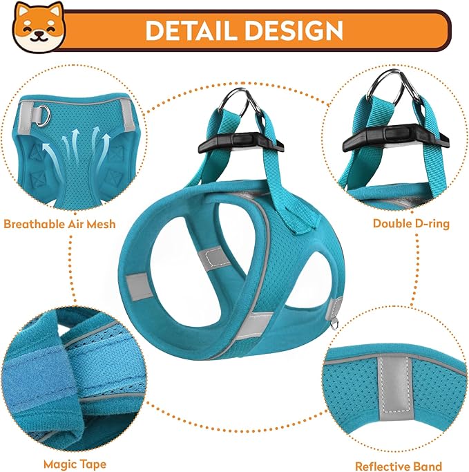 Dog Harness with Leash Set, No-Pull Step-in Reflective Pet Harness with 1 Leash Clips, Adjustable Soft Padded Easy Walk Dog Vest for Small Medium Large Dogs, Cats(Teal, XLarge)