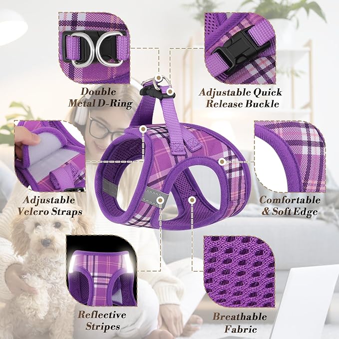 Athena Collection Small Dog Harness with 5 ft Leash, Step-in Dog Harness Leash Set Extra Small No Pull Dog Vest Harness with Reflective Strips Adjustable Velcro, Easy Walk Puppy Harness, Purple